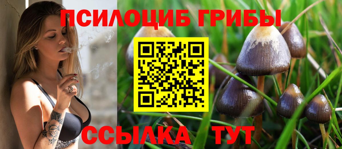 Калуга  Псилоцибиновые грибы GOLDEN TEACHER  Галлюциногенные грибы Cubensis  Вход с VPN 
