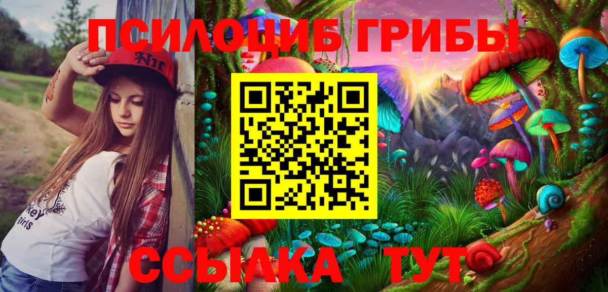 Галлюциногенные грибы Cubensis Калуга